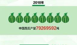 朝阳吃瓜群众什么意思 热点爆料入口点击进入平台,热点爆料入口，一键解锁最新资讯