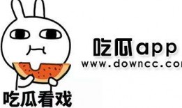 吃瓜视频网站 网红黑料是什么意思,吃瓜网站上的网络舆论风暴