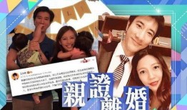 爆料盒子 王力宏老婆为什么要撕王力宏,老婆撕王力宏背后的真相